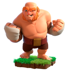 Boxer Giant